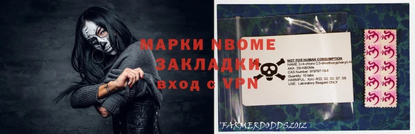 стафф Новокубанск
