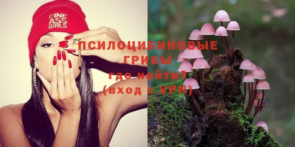 твердый Няндома
