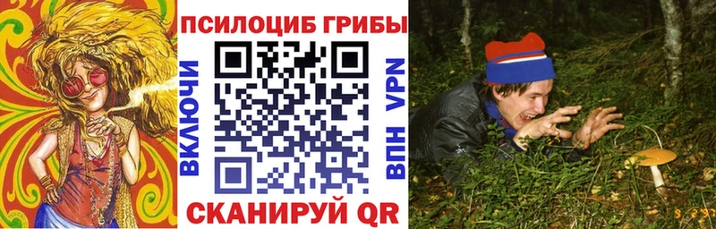 наркотики  Кстово  Псилоцибиновые грибы мухоморы 